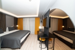 room-Standart-Double-Room-1